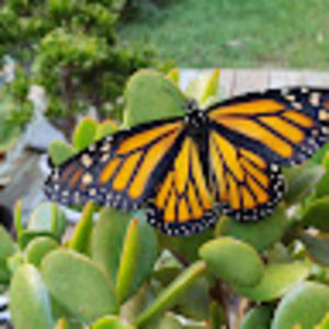 Meet your Posher, Nora